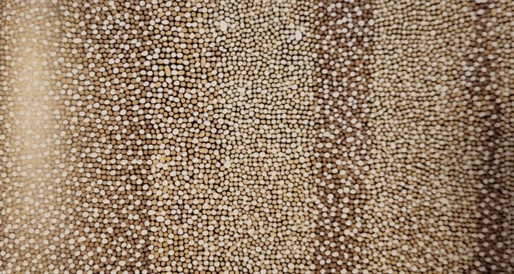 „Tip-Tapping white points 2023“ von Werner Schlegel – Ankauf zur Erweiterung der städtische Kunstsammlung